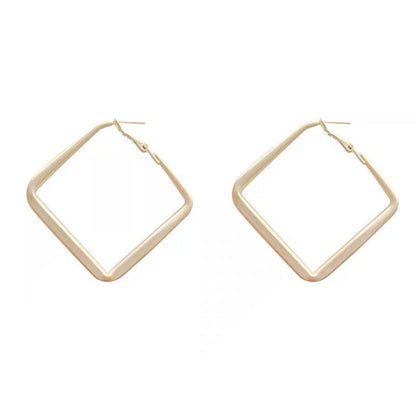 Geometric Female Personality Elegant Niche Sterling Earrings