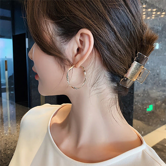 Women's Sier Needle Minimalism Personality Design Twisted Earrings