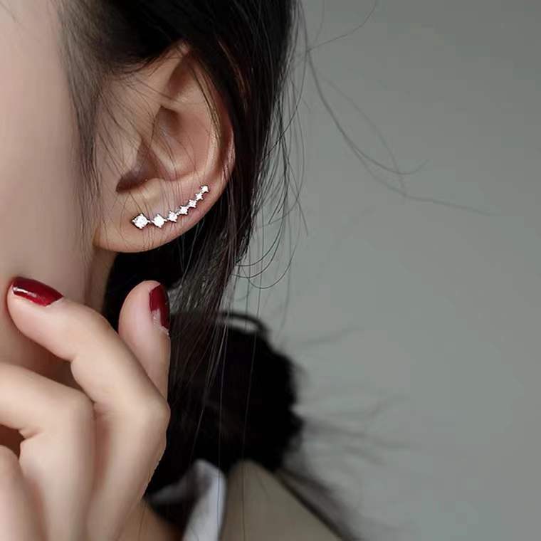 Exquisite Shiny Ear Female Affordable Luxury Earrings