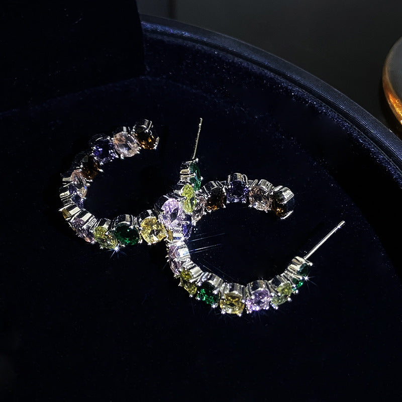 Temperament Entry Lux Zircon Personality Cold Sier Earrings