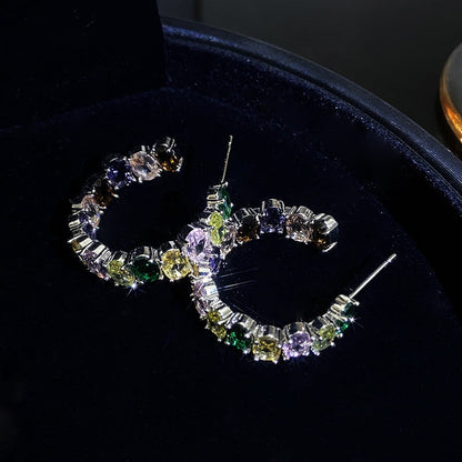 Temperament Entry Lux Zircon Personality Cold Sier Earrings