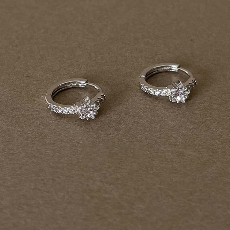 Women's Exquisite And Small Zircon Ear Design Earrings