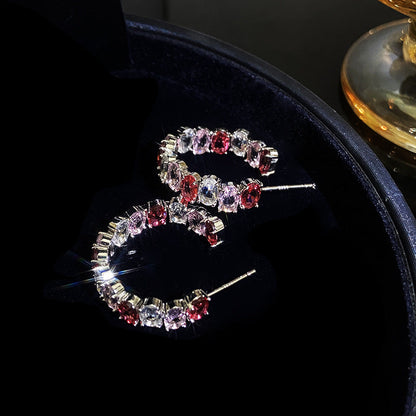 Temperament Entry Lux Zircon Personality Cold Sier Earrings