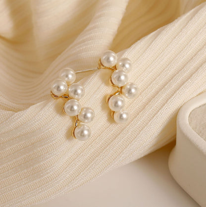 Women's Light Luxury Designer Model Small Grape Earrings