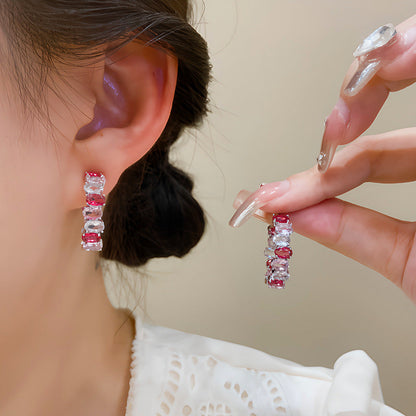 Temperament Entry Lux Zircon Personality Cold Sier Earrings