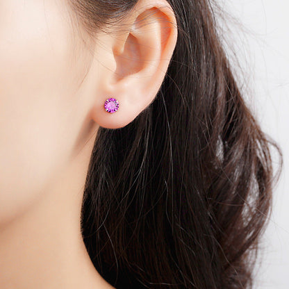 Women's Sterling Sier Needle Simple Niche Zircon Earrings