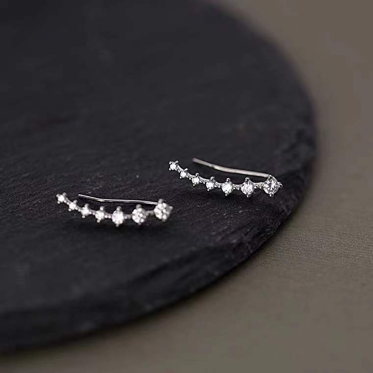 Exquisite Shiny Ear Female Affordable Luxury Earrings