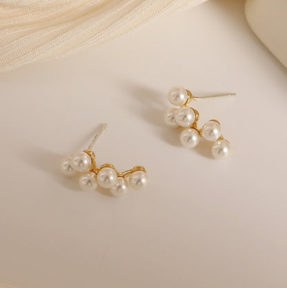 Women's Light Luxury Designer Model Small Grape Earrings