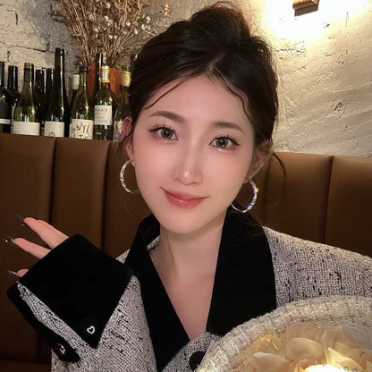 Women's High-grade Light Temperament Luxury Zircon Hoop Earrings