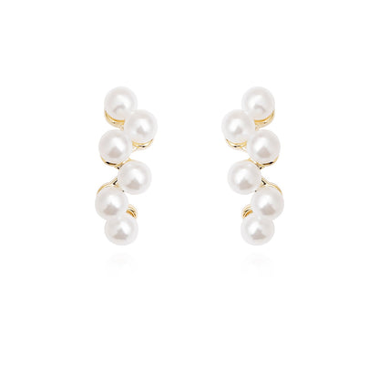 Women's Light Luxury Designer Model Small Grape Earrings