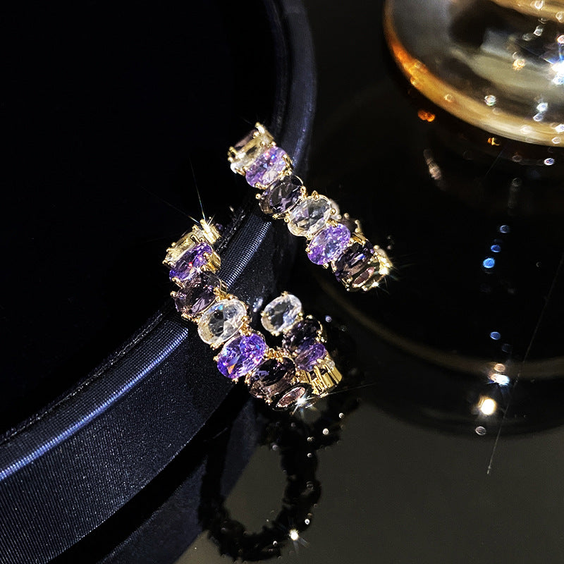 Temperament Entry Lux Zircon Personality Cold Sier Earrings