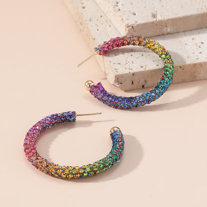 Women's Full Diamond Rainbow Color Evening Dress Accessories Earrings